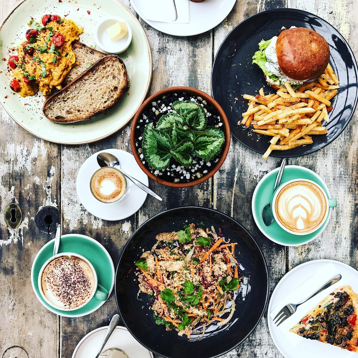 Salta Espresso Cafe-2