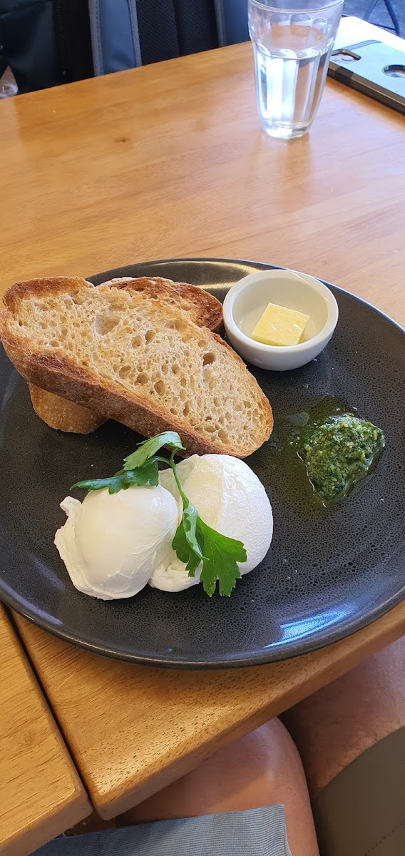 Salta Espresso Cafe-5